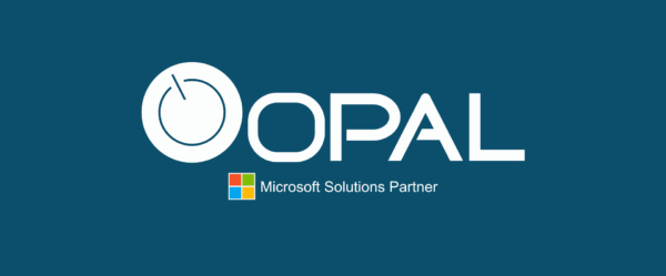 Why Work with a Microsoft Partner?