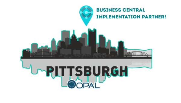 BC Implementation Partner